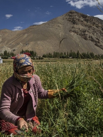 L’India e la Cina hanno ritirato l’esercito dal territorio conteso sull’Himalaya