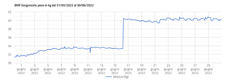 Peso apiario © LifeGate