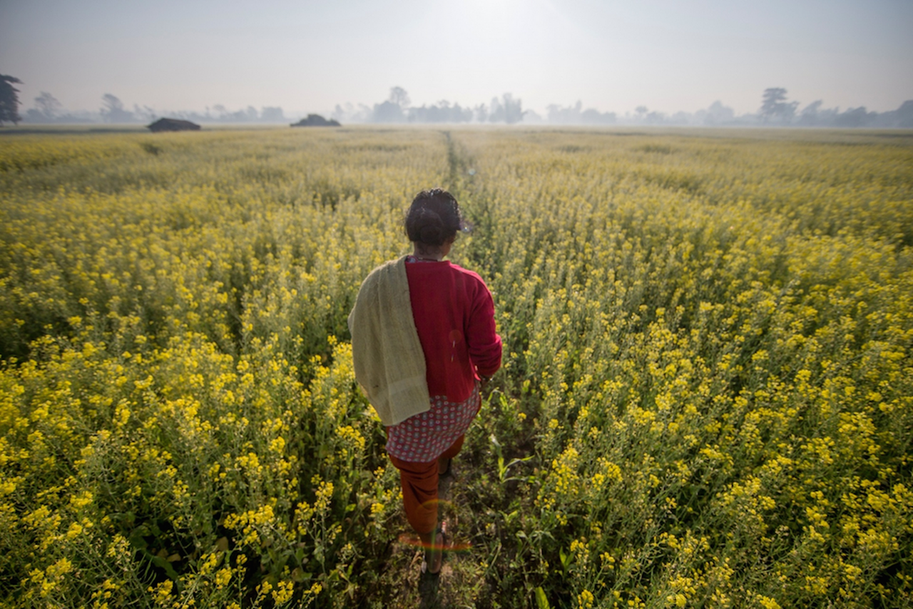 Le Donne A Guardia Della Biodiversità In Nepal Le Foto In Un Reportage Del Wwf Lifegate