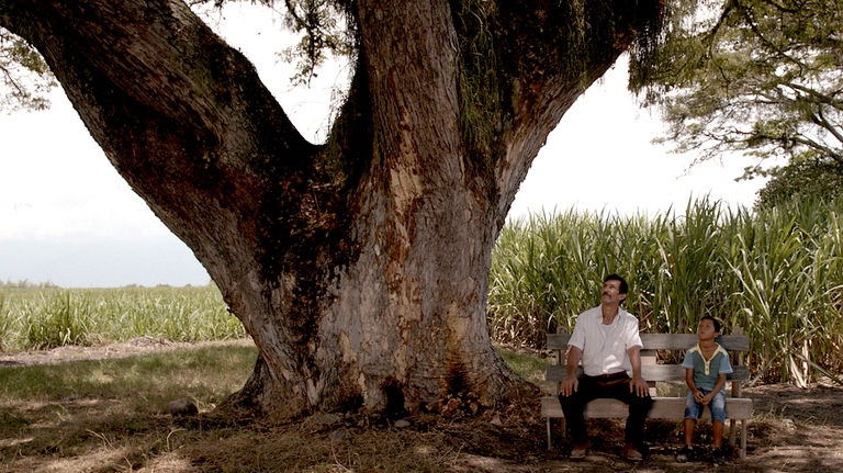 un-mondo-fragile-la-tierra-y-la-sombra-alfonso-manuel-albero