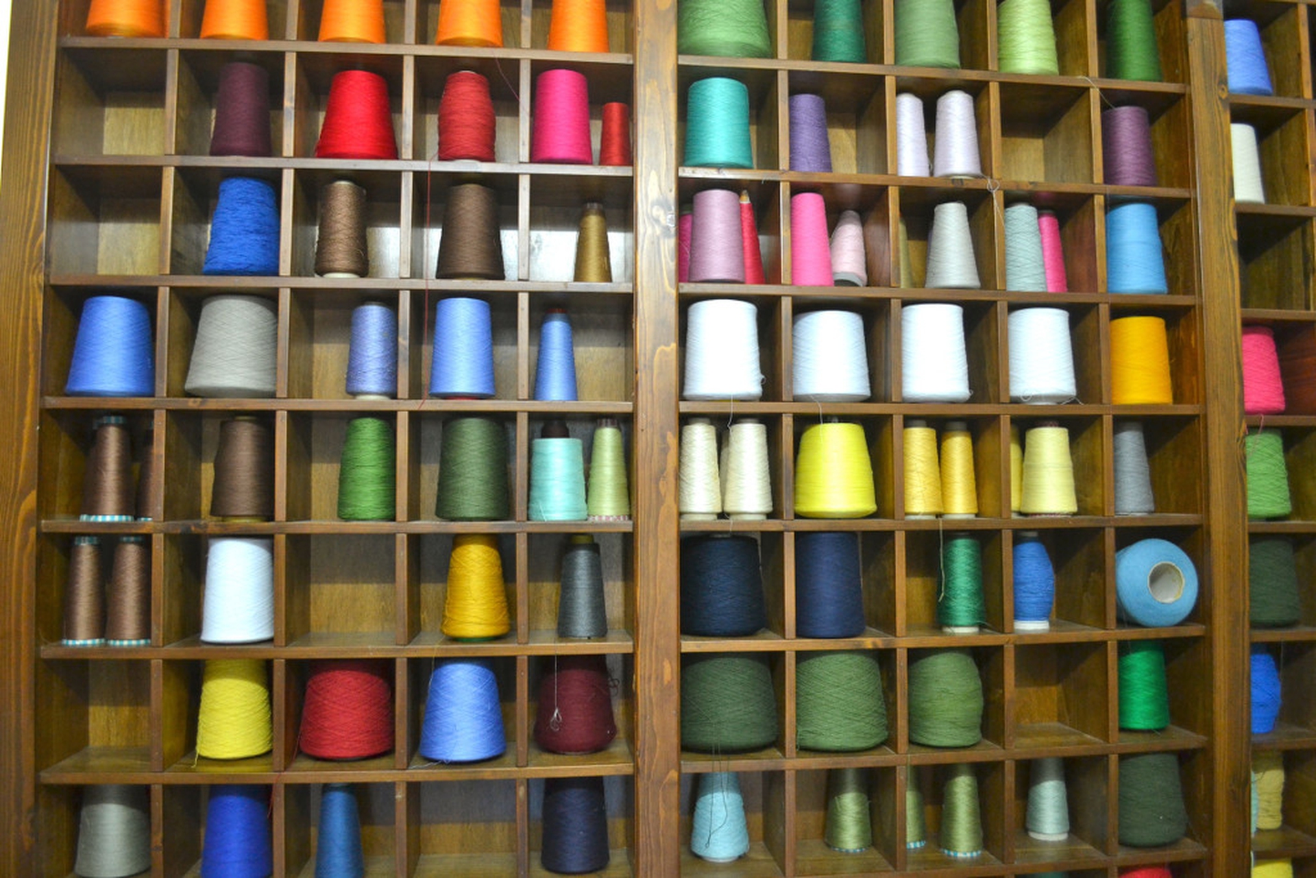 Global Climate Strike in New York