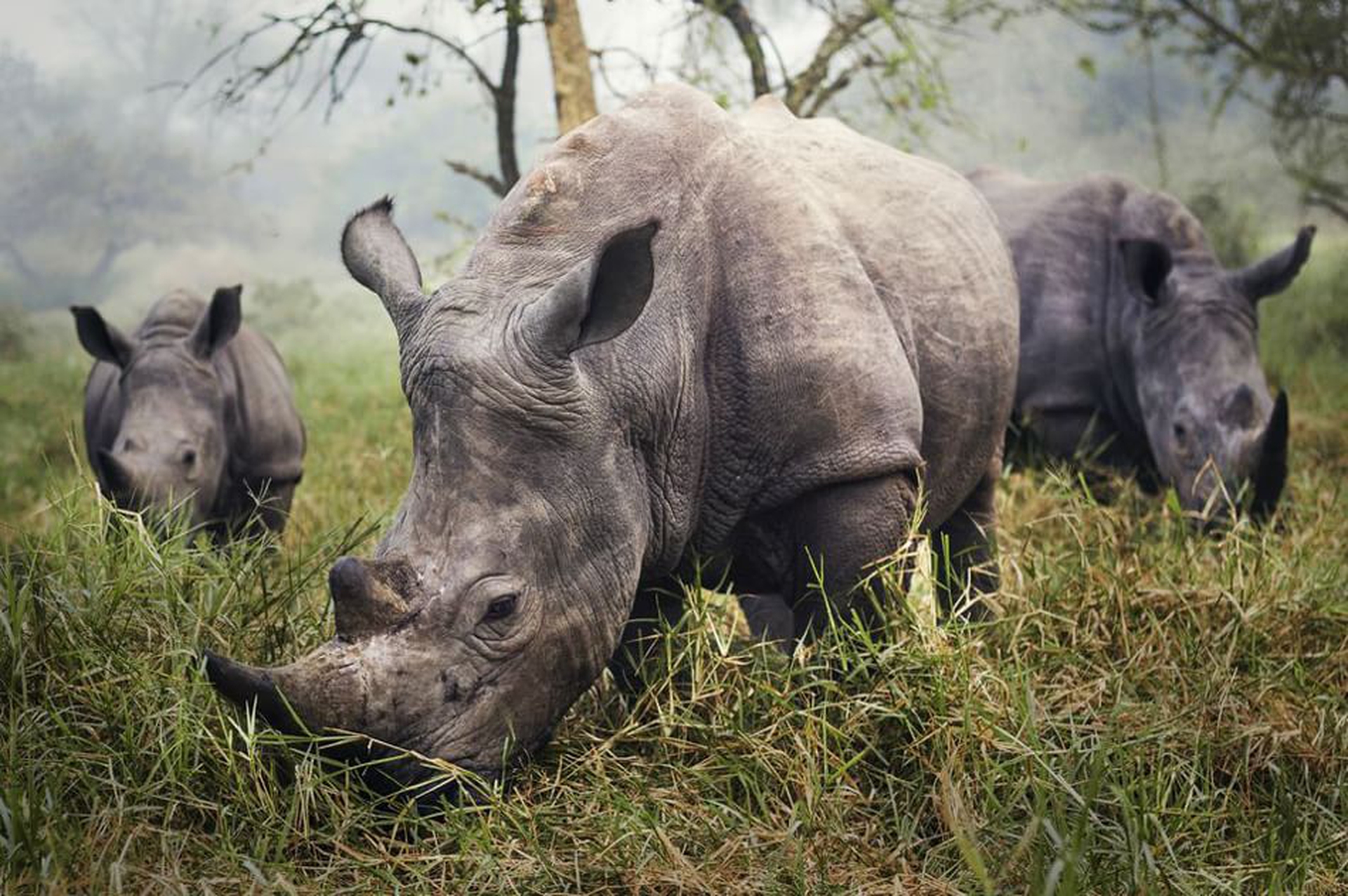 I vincitori del 2015 Traveler Photo Contest del National Geographic