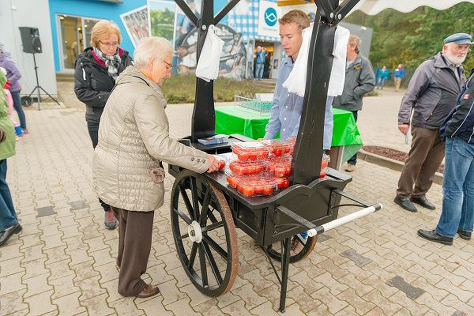 Inapro. Ecco la serra del futuro: non consuma acqua e non usa fertilizzanti