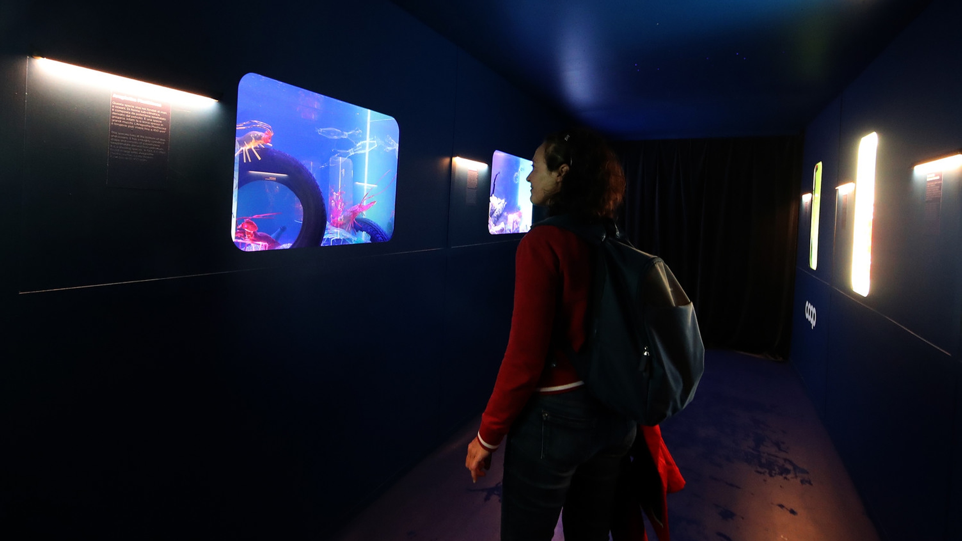 Coop alla Barcolana 2022