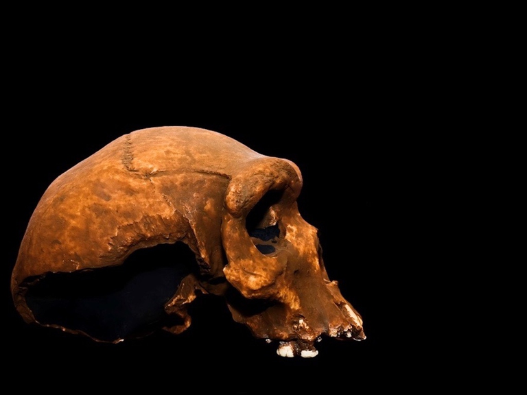 allattamento al seno negli uomini primitivi