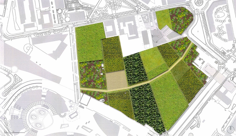 biblioteca degli alberi