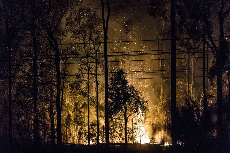 Foreste di Sidney in fiamme