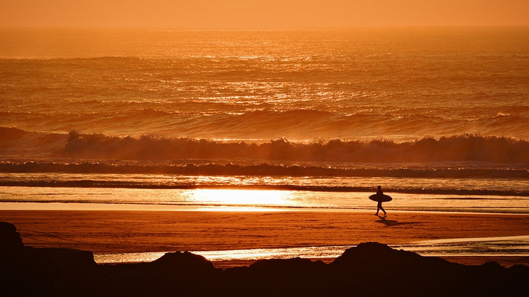 meduse proliferano nel Mediterraneo. Decine di avvistamenti isola d'Elba