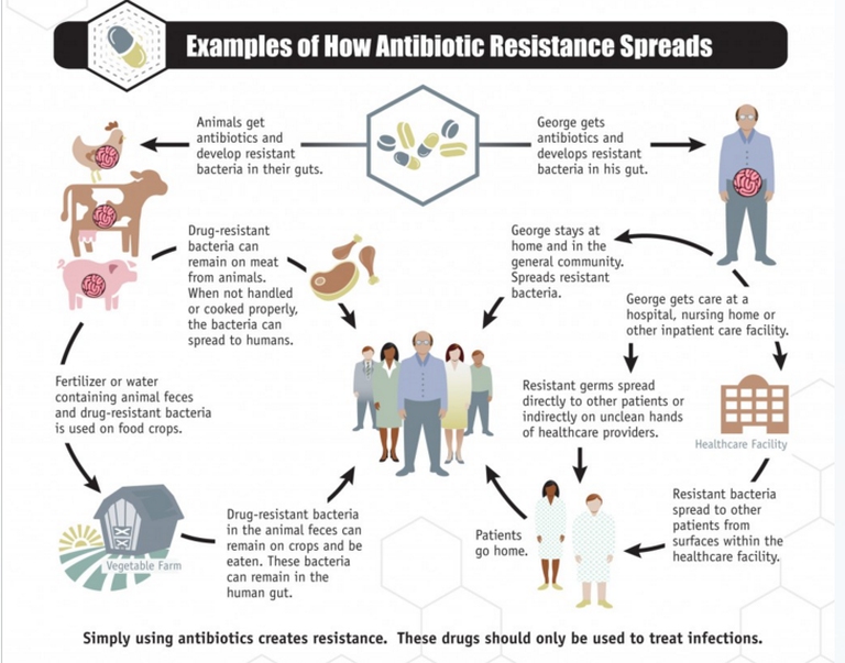 resistenza agli antibiotici