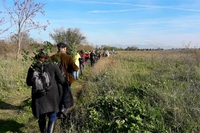Marcia nazionale degli alberi 2016, tra entusiasmo e voglia di natura delle persone