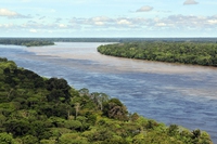 In Amazzonia è di nuovo allarme deforestazione. Ogni minuto si perde l’equivalente di un campo da calcio