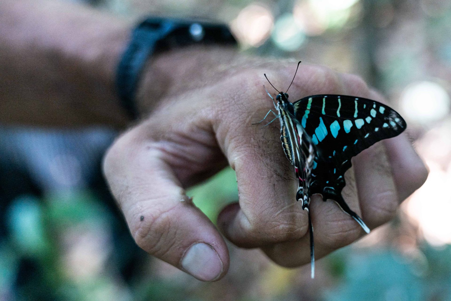 Il progetto di riforestazione Udzungwa corridor limited