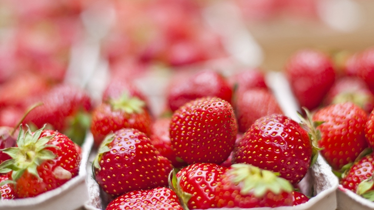 Dalla fragola si estrae un olio tonificante, contenuto in Xsense 15 Fruit di Bionike