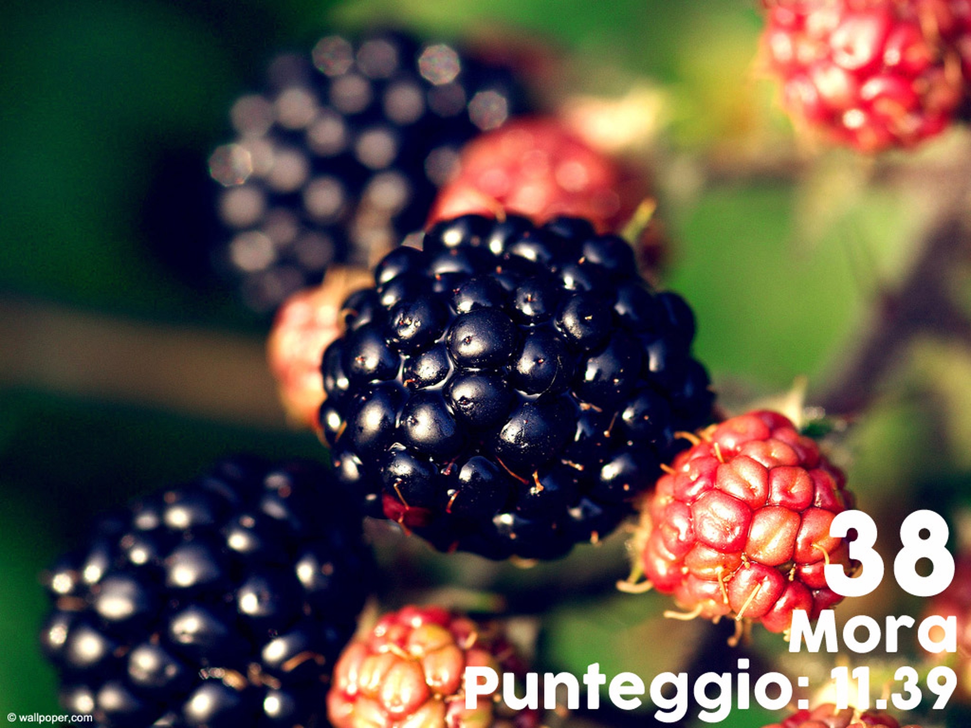 frutti-e-verdure-supernutrienti-38