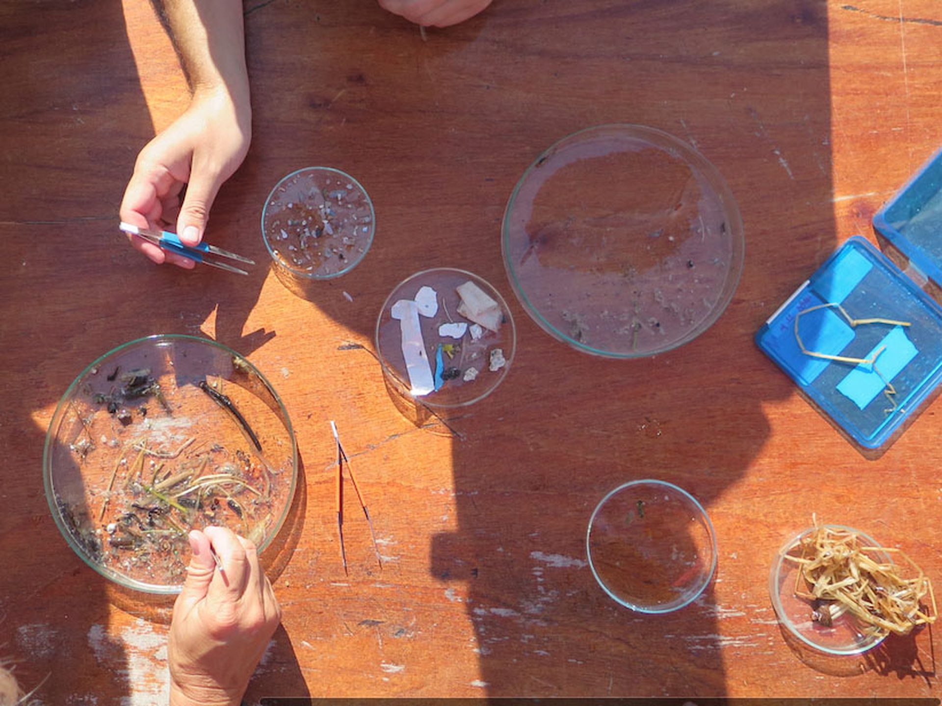 Il Mediterraneo invaso dalla plastica