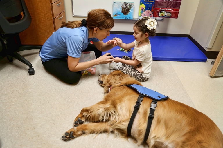 Golden retriver utilizzato nella pet therapy