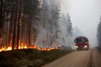 Gli incendi divorano la Scandinavia: 12 roghi nel Circolo polare artico