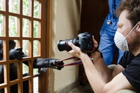 Virunga, the documentary presented at Tribeca Film Festival