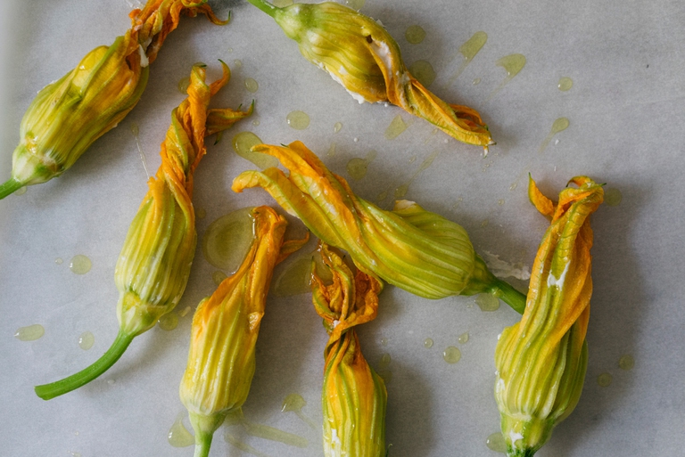Fiori di zucca ripieni