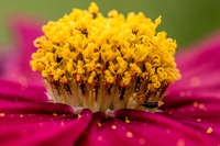 New report reveals effects of climate change on allergy season