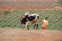 In Madagascar mezzo milione di bambini è a rischio malnutrizione per la siccità