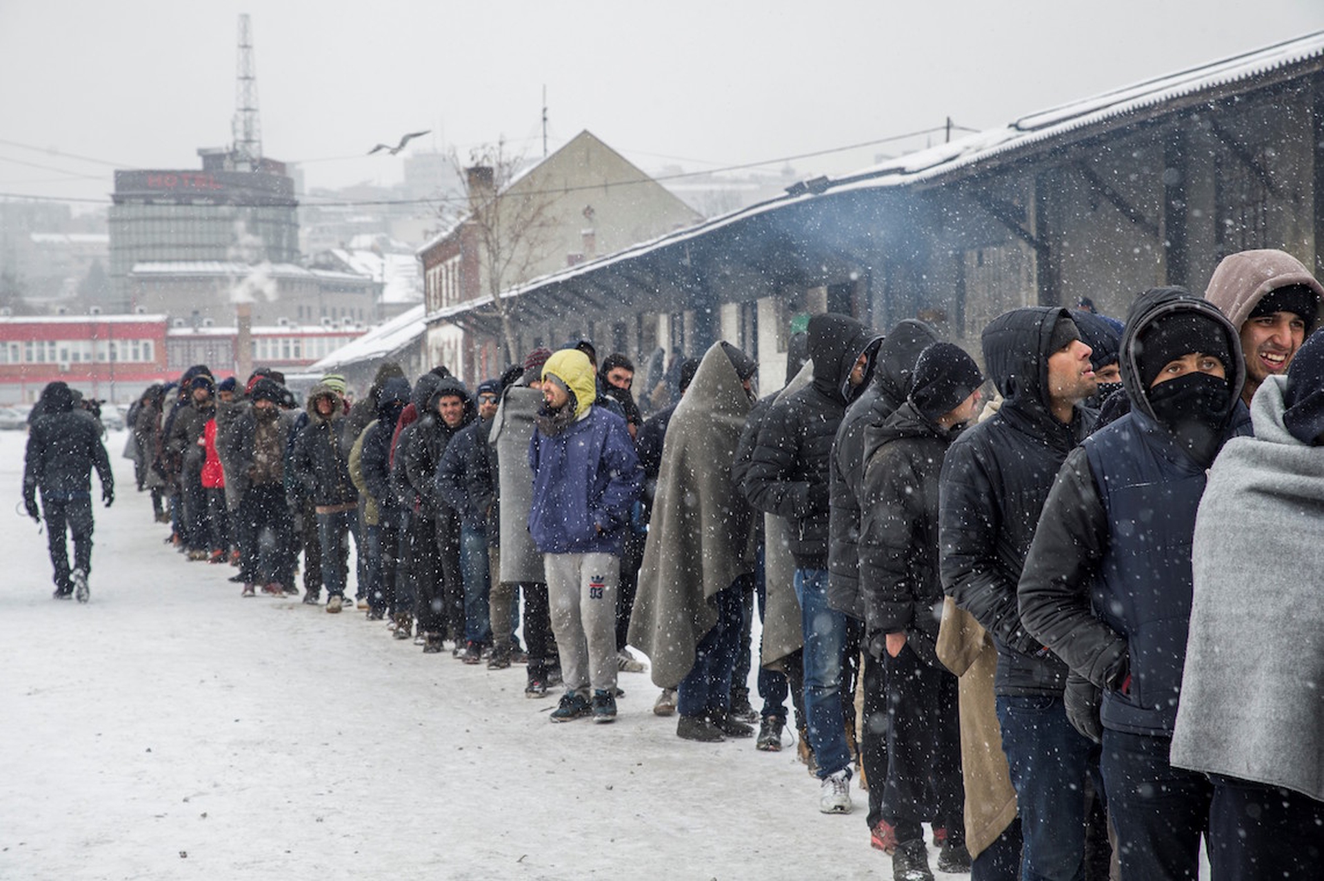 Migranti Belgrado-631421198