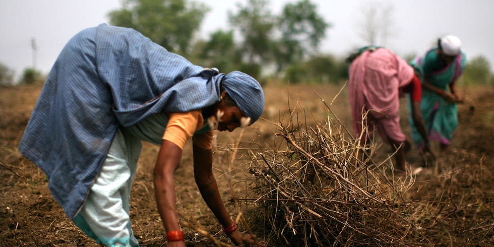 India in the grip of climate change