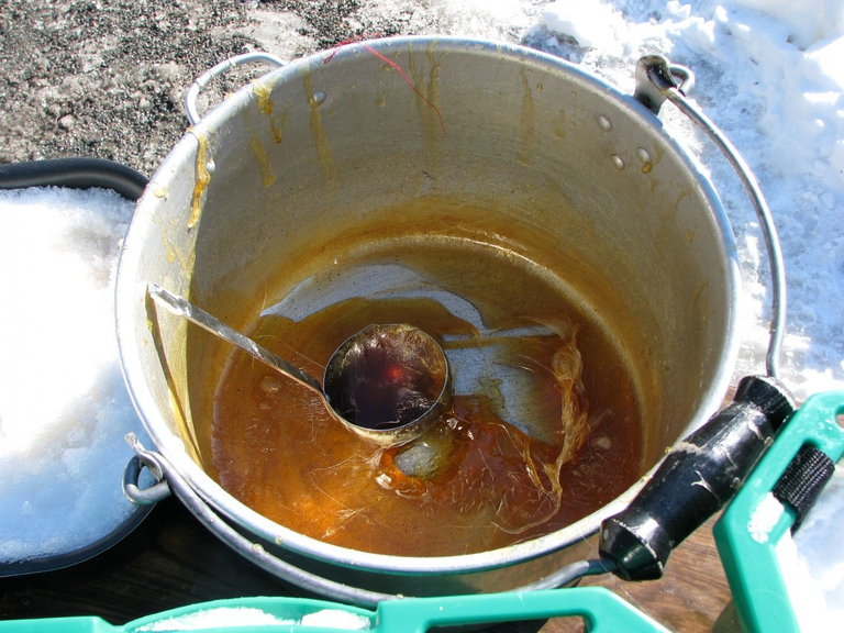 sciroppo d'acero puro