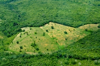 Brasile, aumenta ancora la deforestazione in Amazzonia