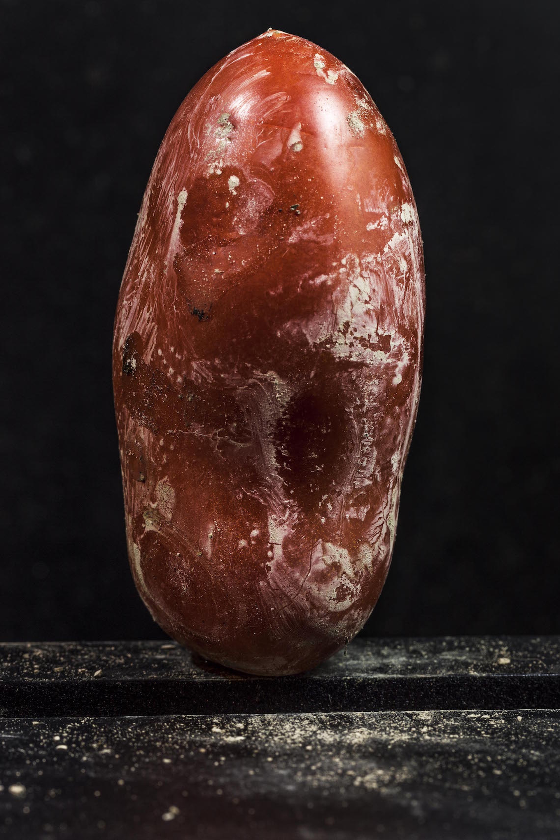 The winners of the Sony World Photography Awards 2016