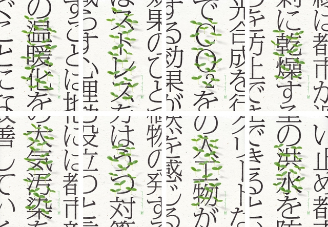 Green newspaper 4
