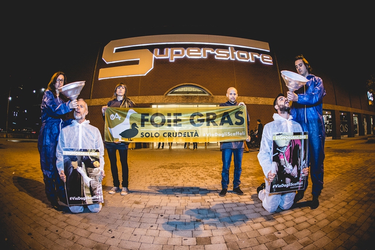 foie gras essere animali