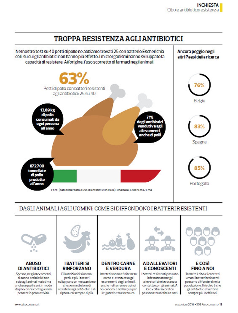 Come si diffondono i batteri