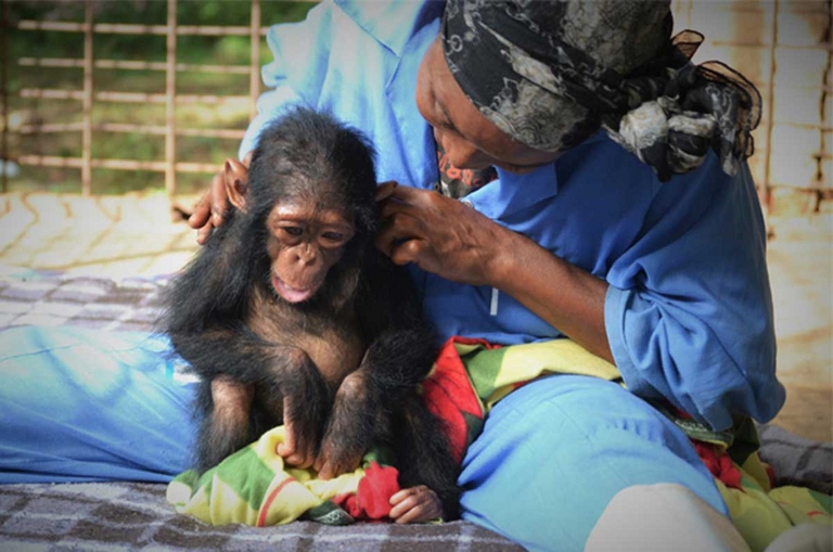Donna accudisce una scimmia