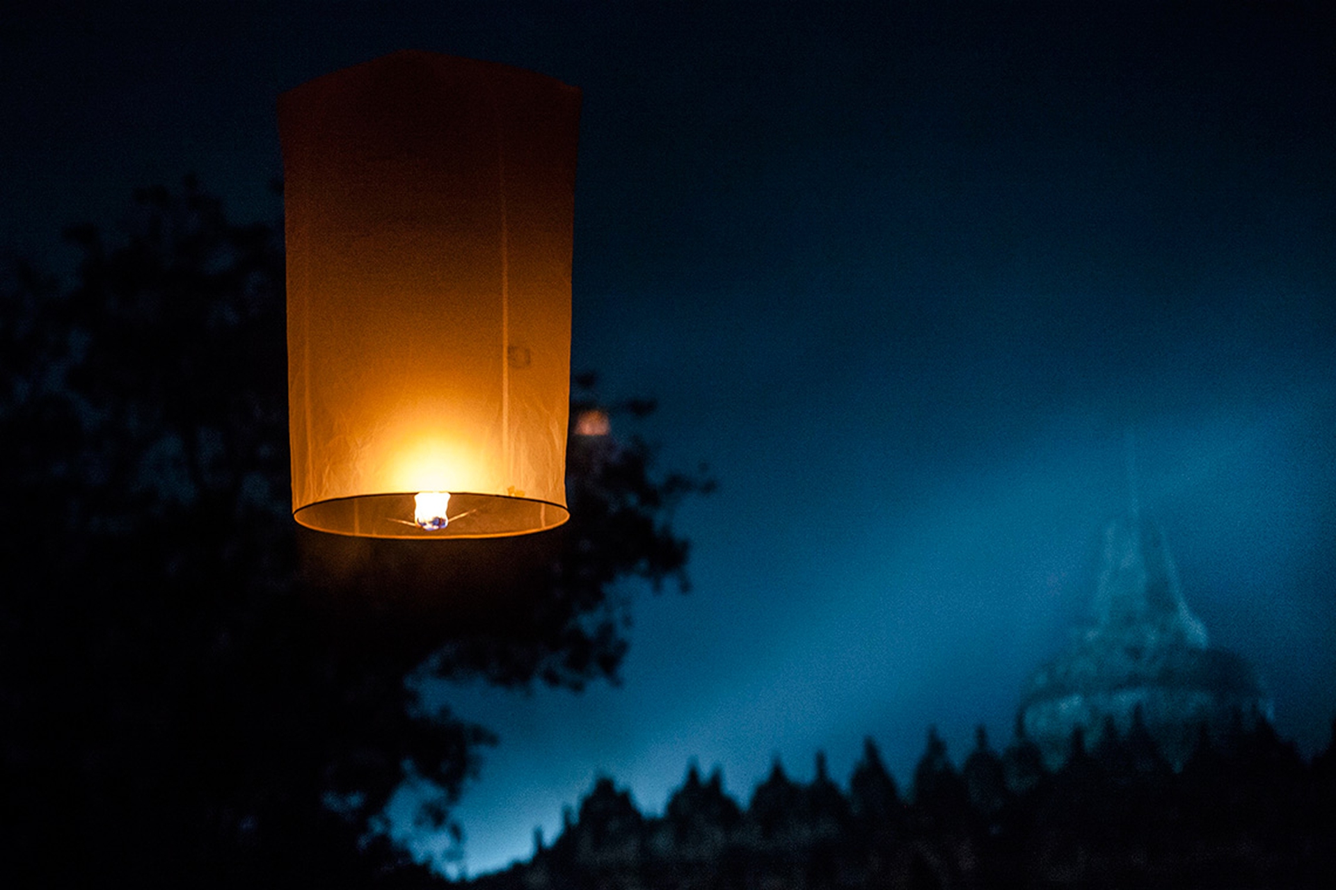 Lanterne per il Vesak