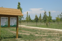 Sei in Lombardia? Questo weekend esci e scatta!
