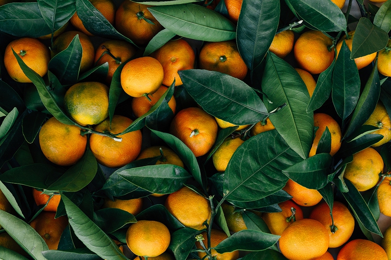 Frutta di stagione