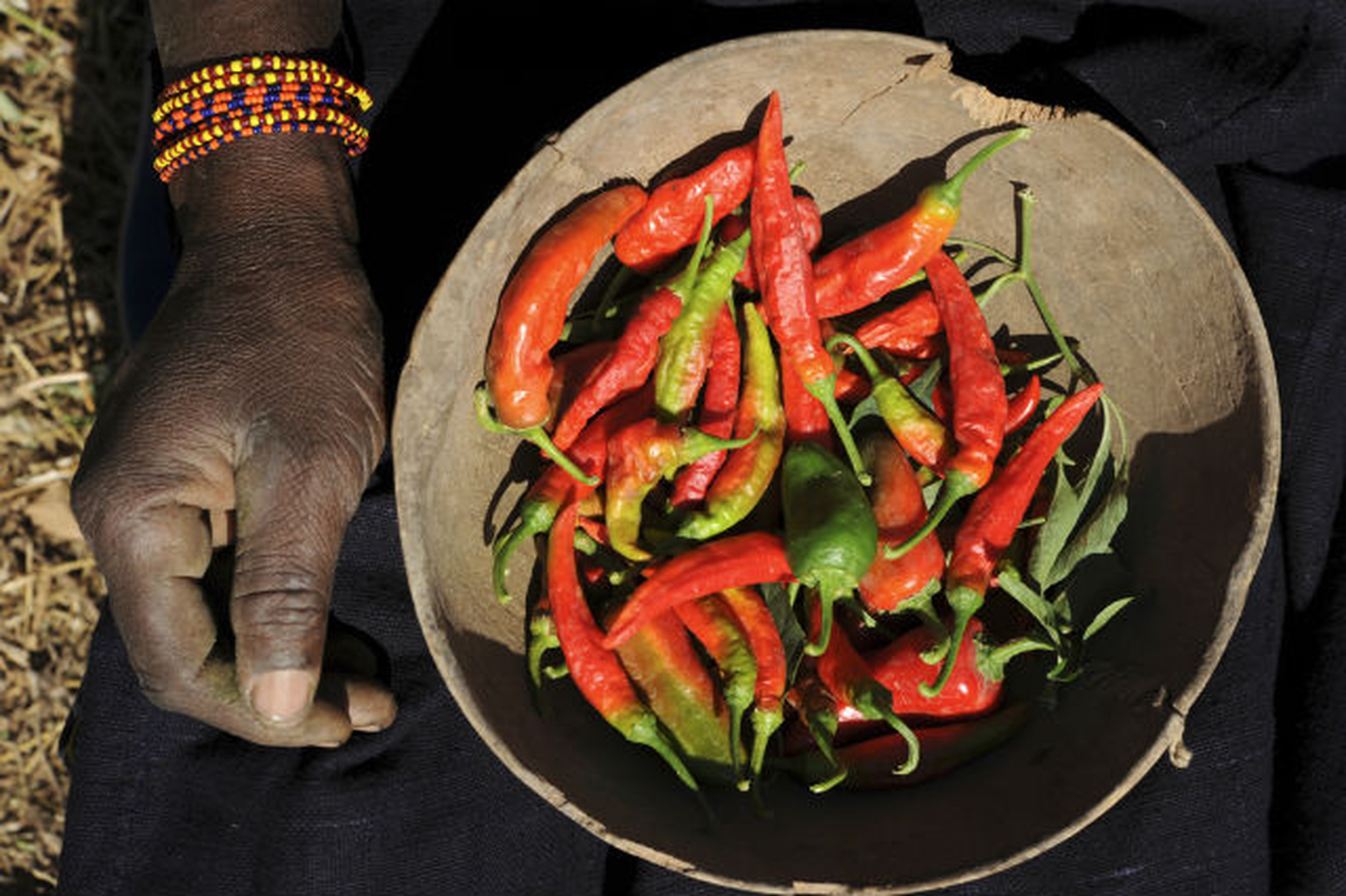 Slow Food for Africa. 10.000 orti per coltivare il futuro