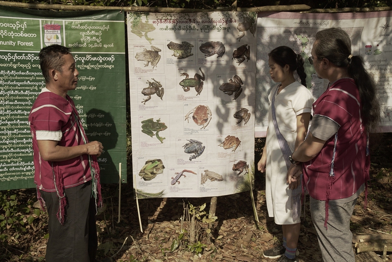 Paul Sein Twa, Goldman Environmental Prize