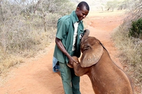 Tanzanian rangers can now find poachers faster