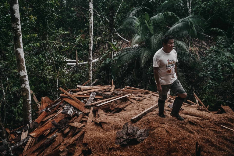 deforestazione perù
