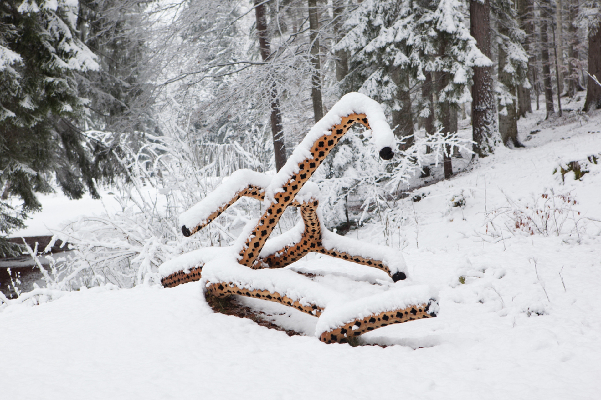 Arte Sella un'opera Stuart Ian Frost A fior di pelle