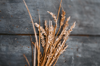 Ricette naturali: orzo perlato, mentuccia selvatica e verdure croccanti