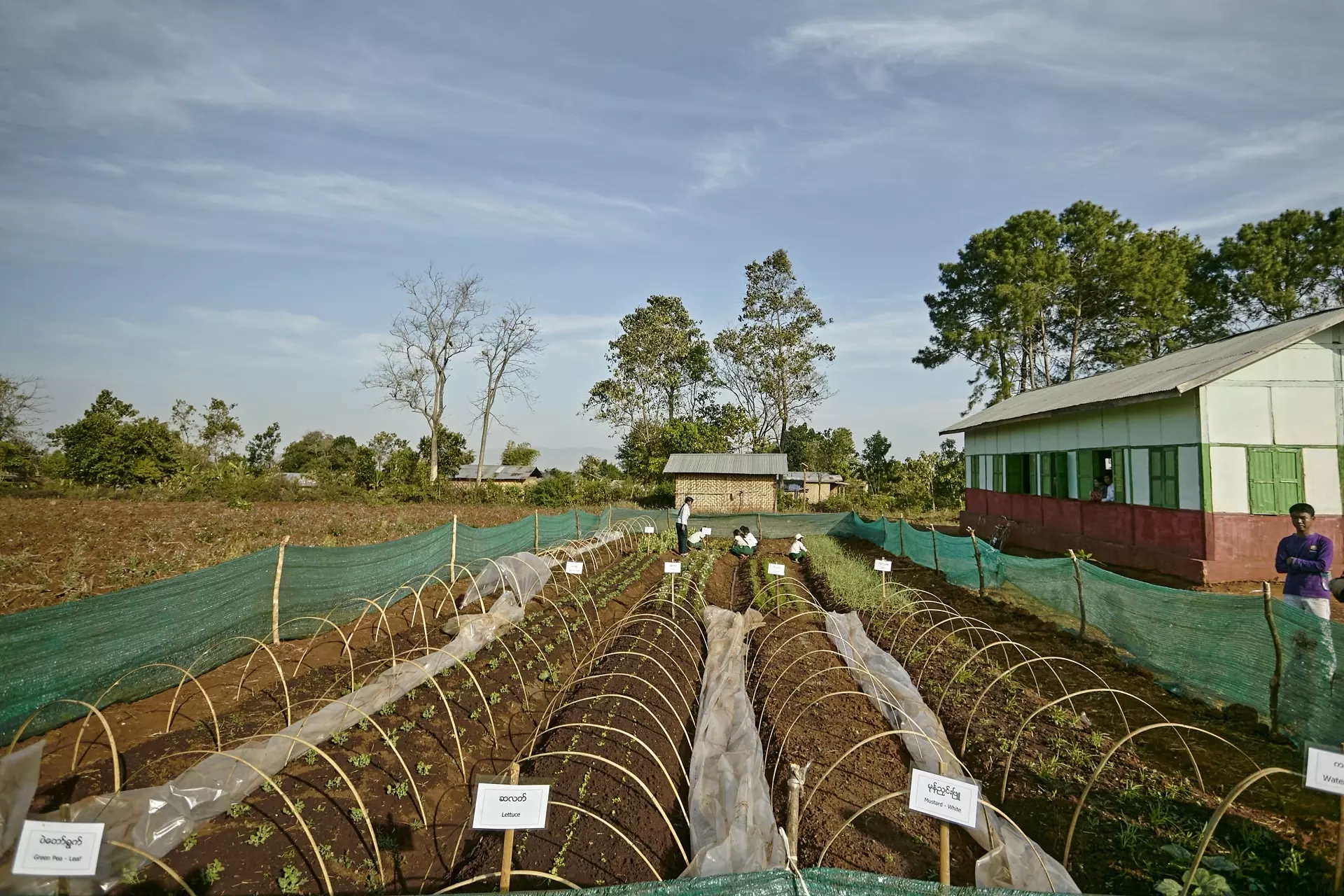 Myanmar mostra Cesvi