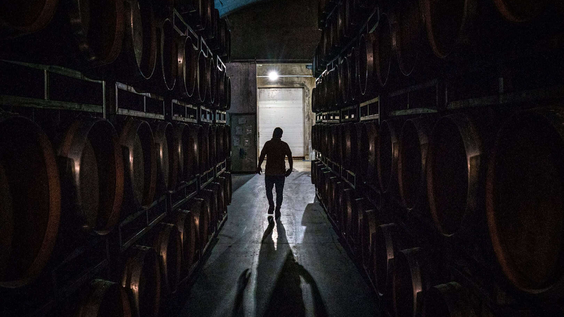 Vino y cambio climatico en Argentina