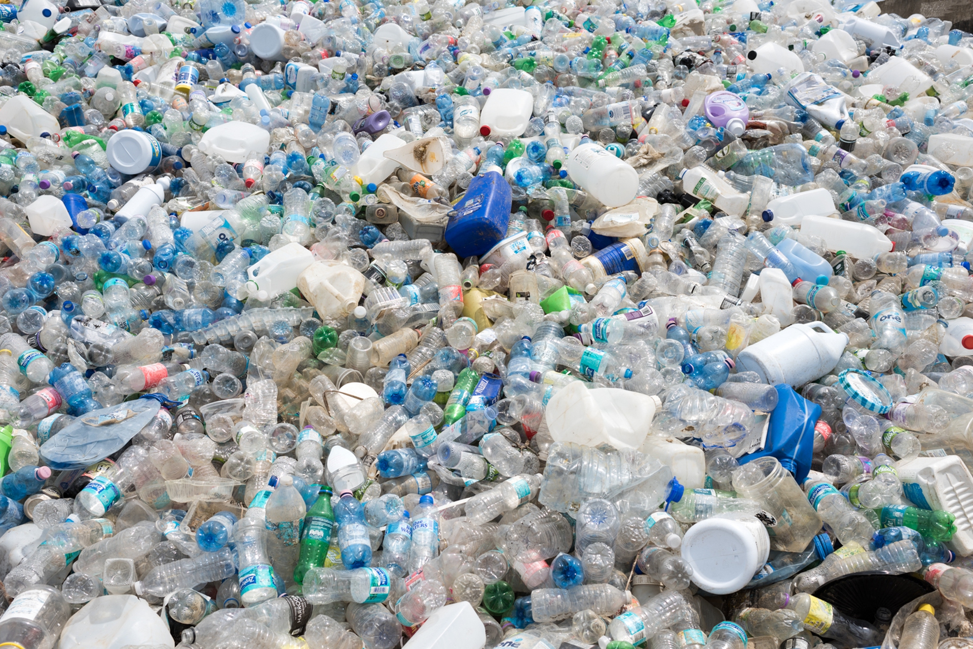 Exxpedition, l'equipaggio di donne contro la plastica