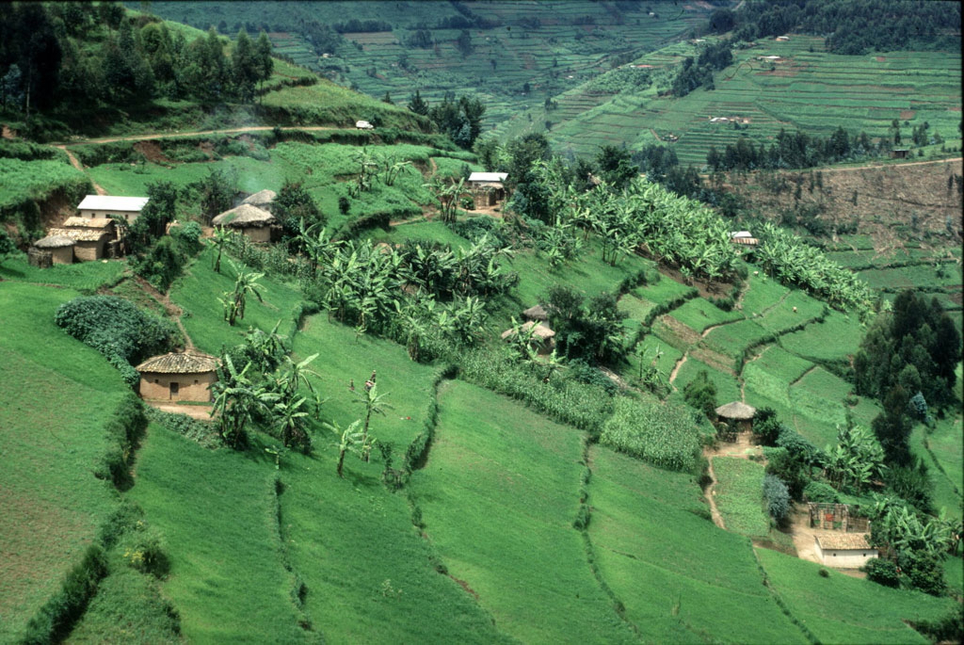 Land meaning. Gwangalli Land. Land resources. Fig Land.