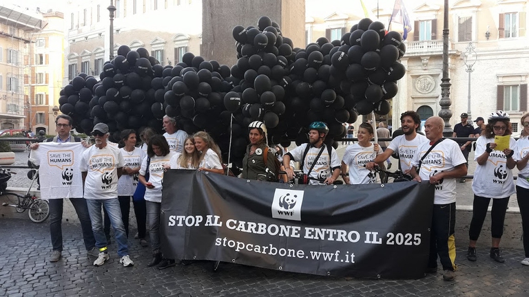 Wwf stop carbone 2025