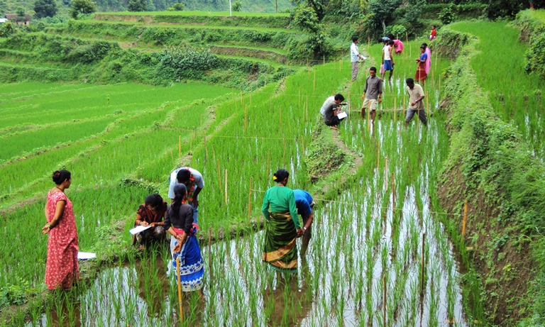 nepal_permacultura_agricoltura_sostenibile