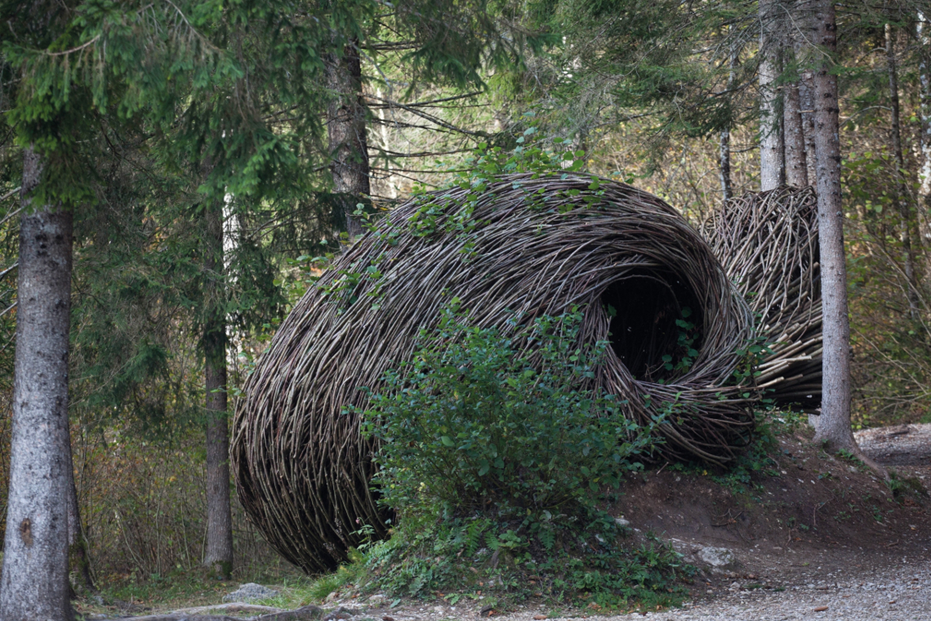 Arte Sella un'opera Will beckers_Eco